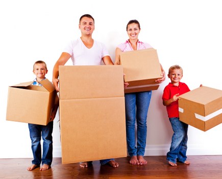 Removals staff reviewing a modern slavery compliance policy